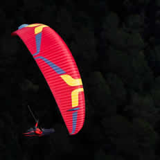 Delta 5